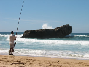 Fisher am der Algarve in Portugal